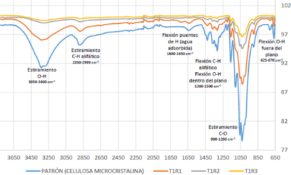 2448-5691-mn-16-30-e00059-gf4.png